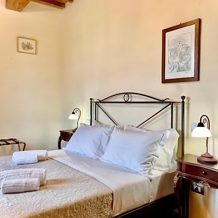Conti 5* Fauglia