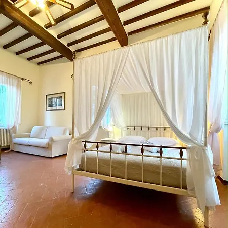 Conti Fauglia