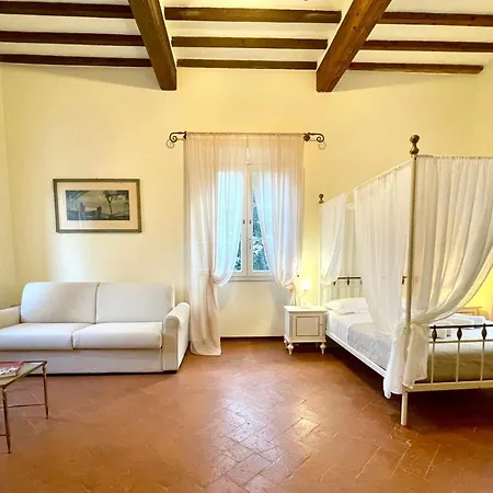 Conti Fauglia
