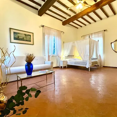 Conti Fauglia