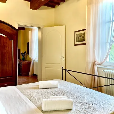 Conti Fauglia