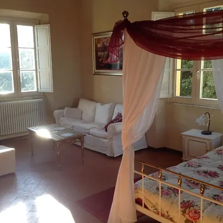 Conti 5*